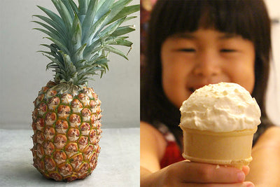 Homemade Pineapple Ice Cream