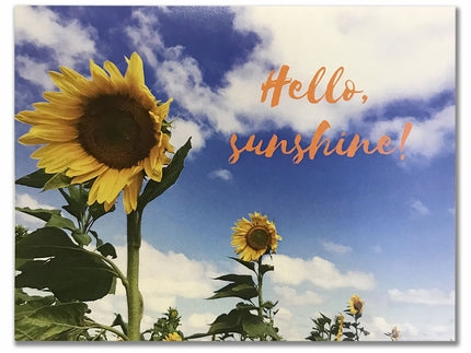 Hello Sunshine (Pack of 4)